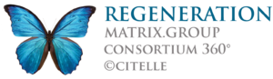 Regeneration Matrix group consortium bleu Regeneration Matrix group consortium bleu