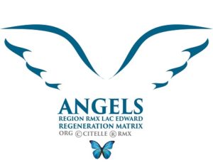 2022 ANGEL REGION RMX EDWARD AILES REGENERATION MATRIX carré