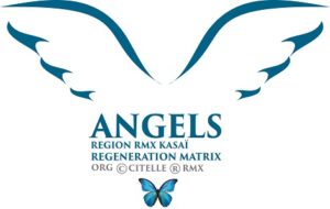 2022 ANGEL REGION RMX KASAÏ AILES REGENERATION MATRIX carré 471