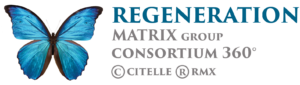 2022 Regeneration matrix group consortium